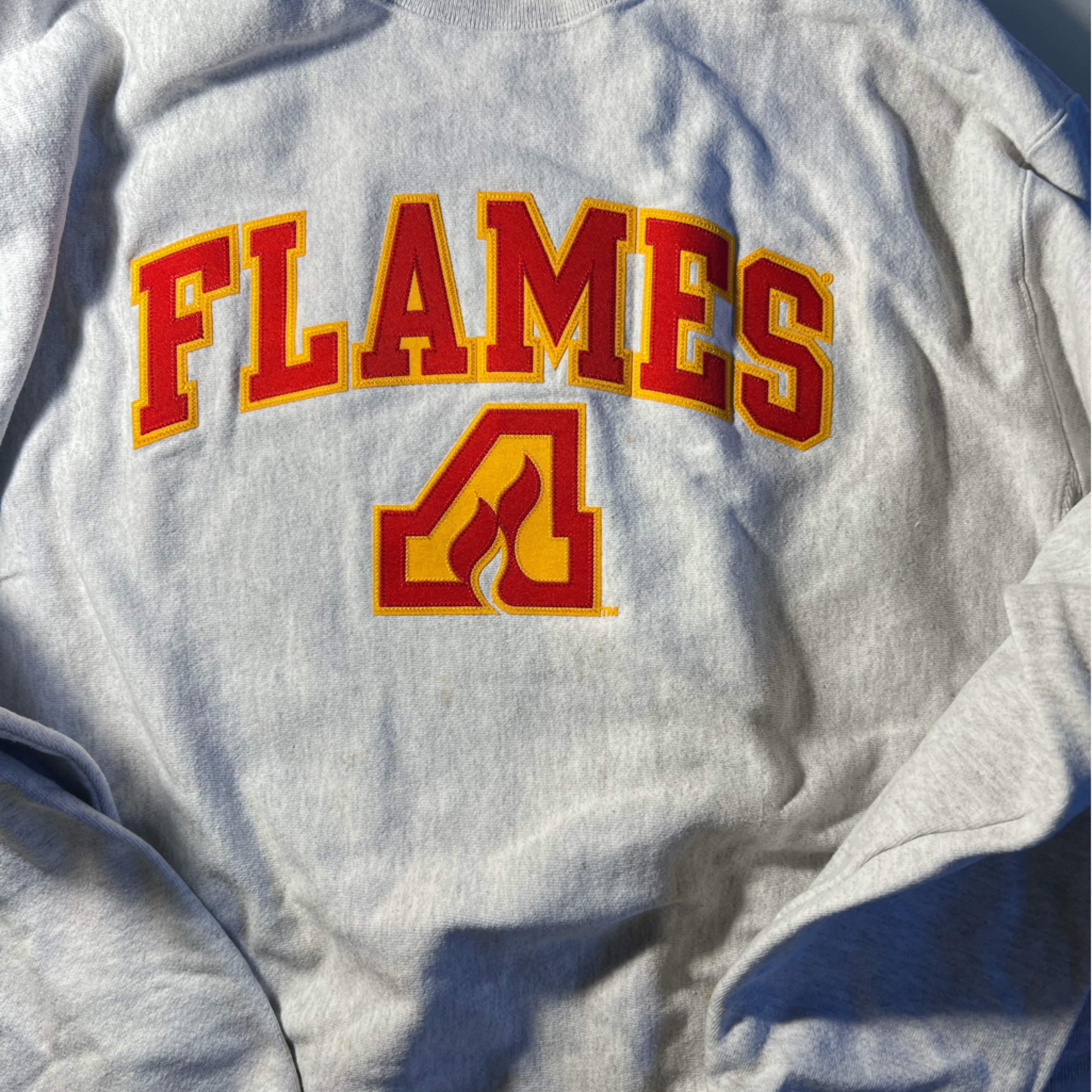 Champions Sweatshirt